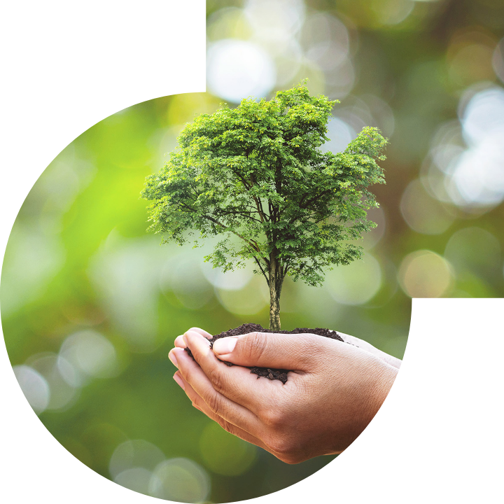 关怀人类、文化、环境与社会